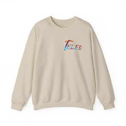 Teleo Sweatshirt.