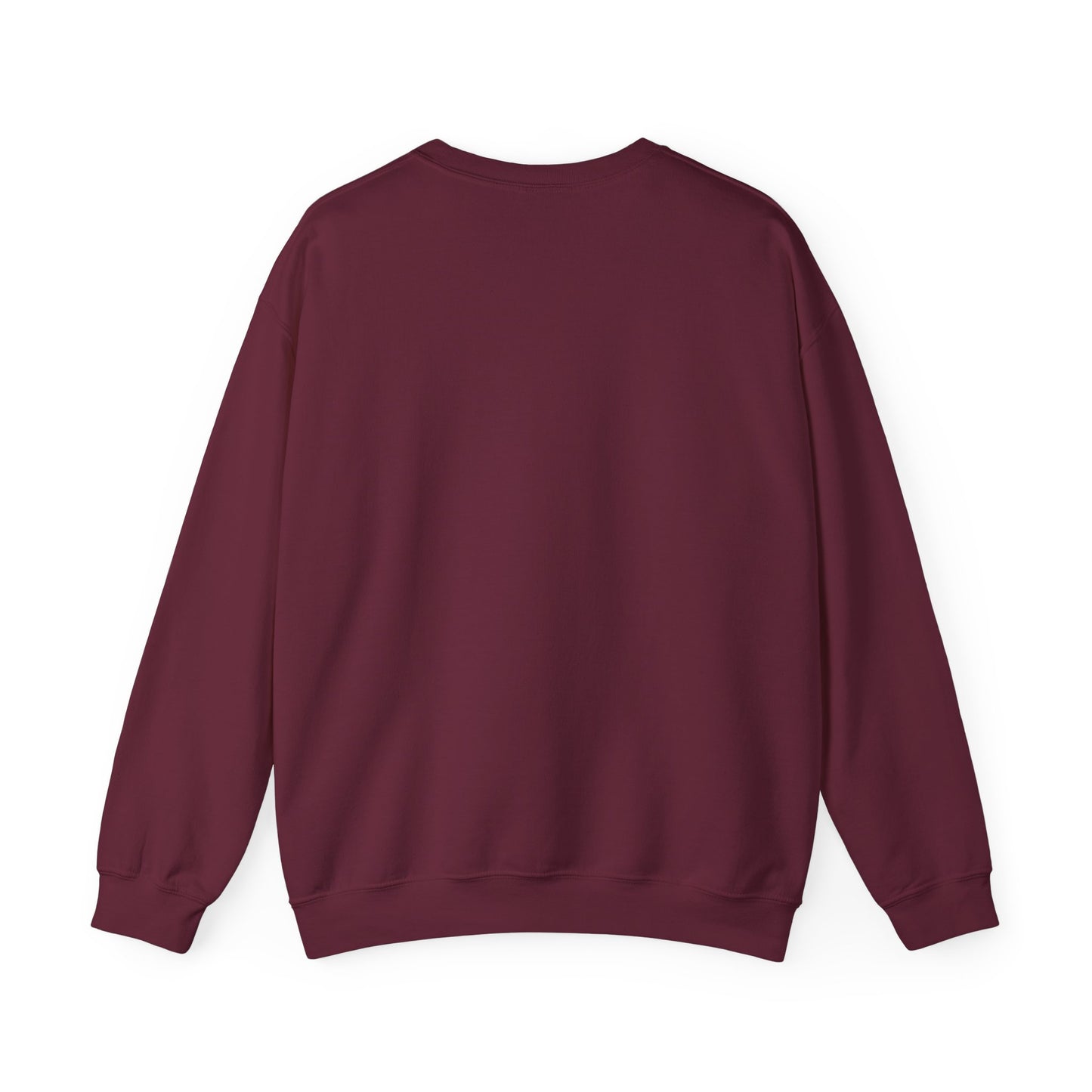 Teleo Sweatshirt.