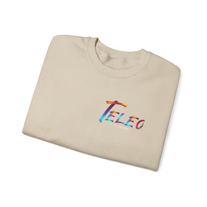 Teleo Sweatshirt.