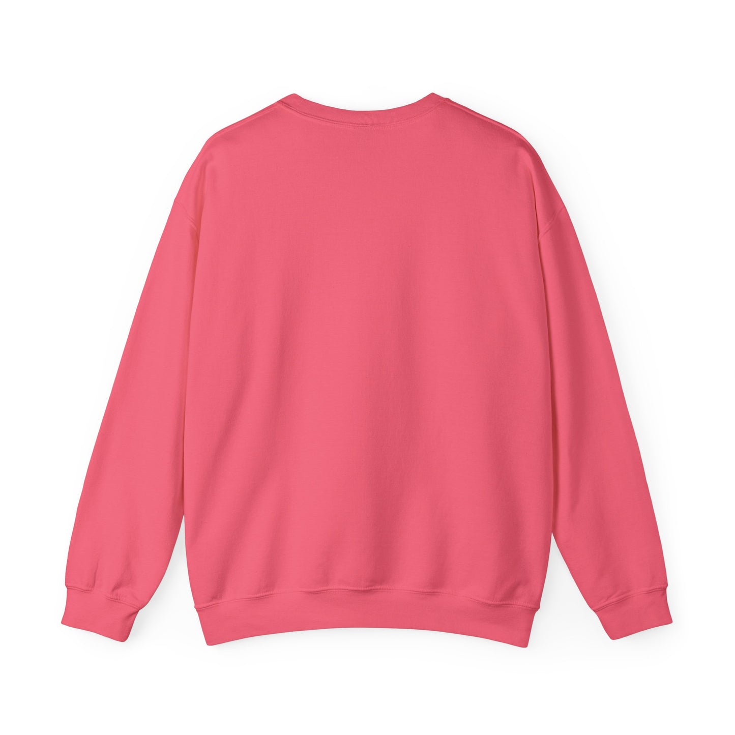 Teleo Sweatshirt.