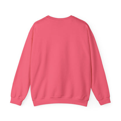 Teleo Sweatshirt.