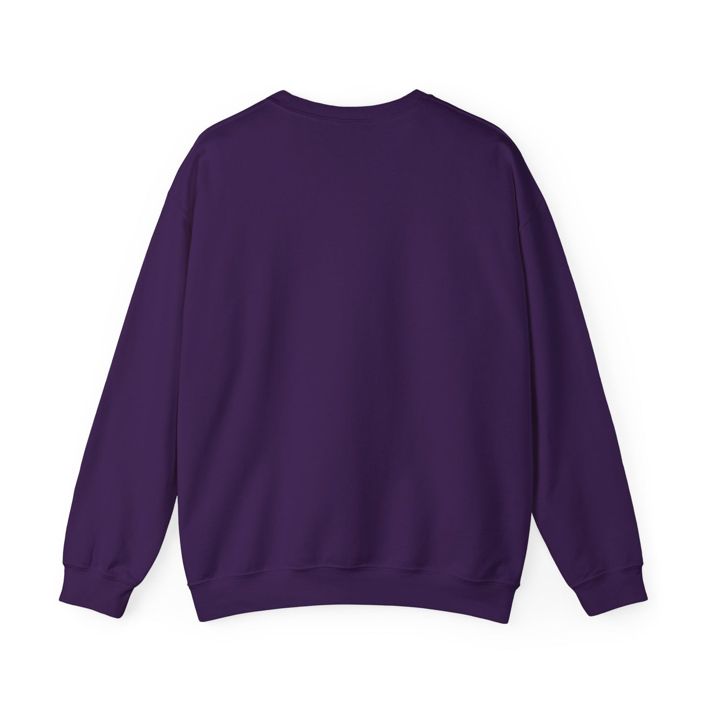 Teleo Sweatshirt.