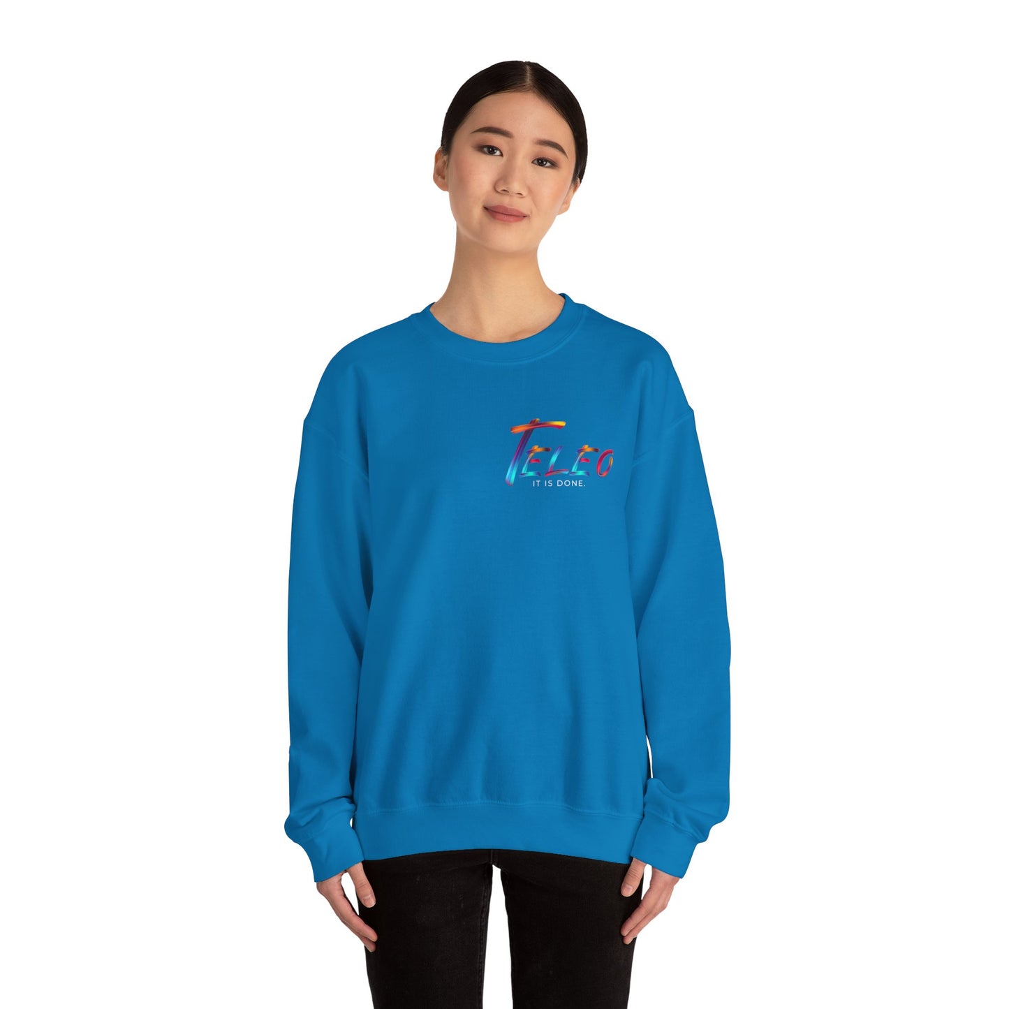 Teleo Sweatshirt.