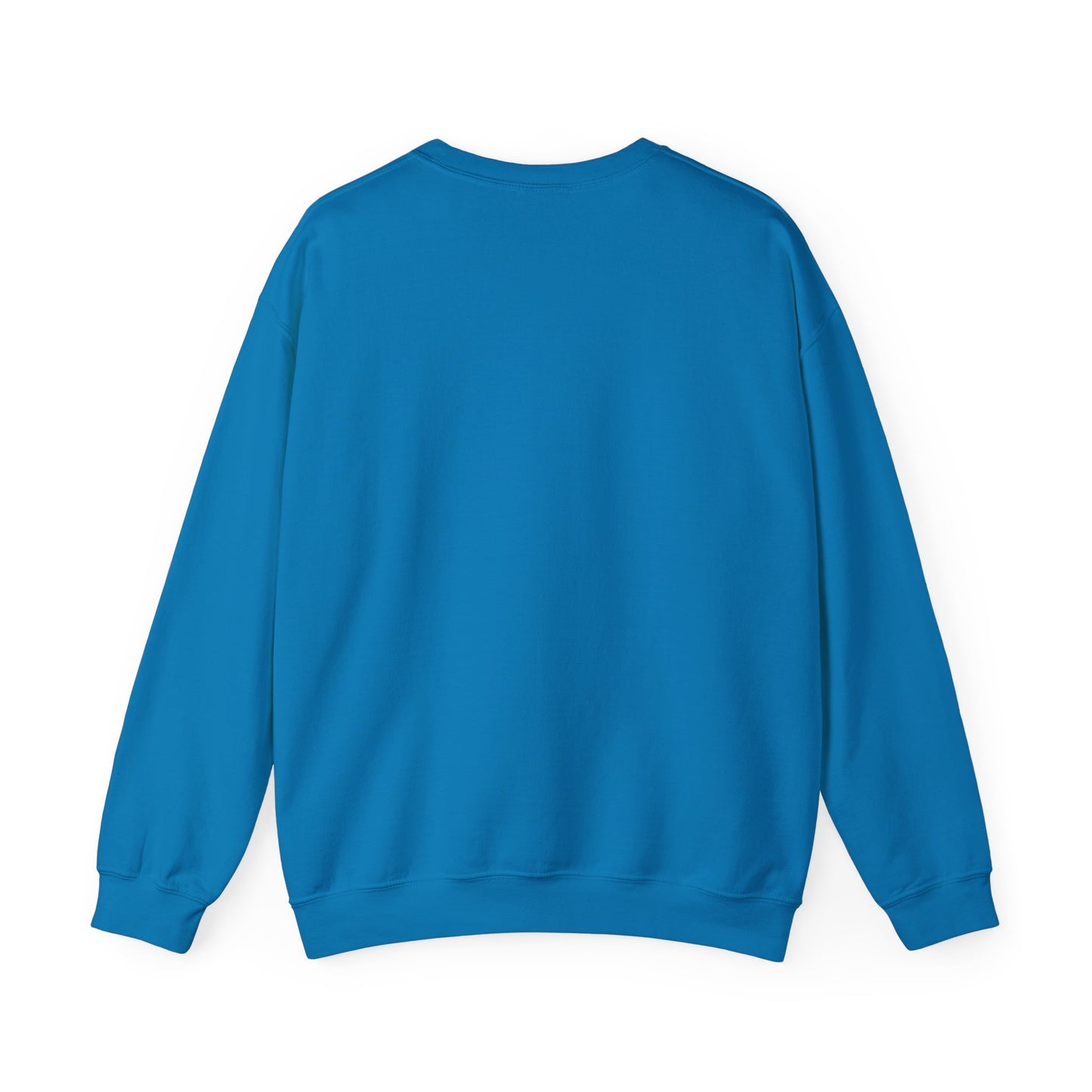 Teleo Sweatshirt.