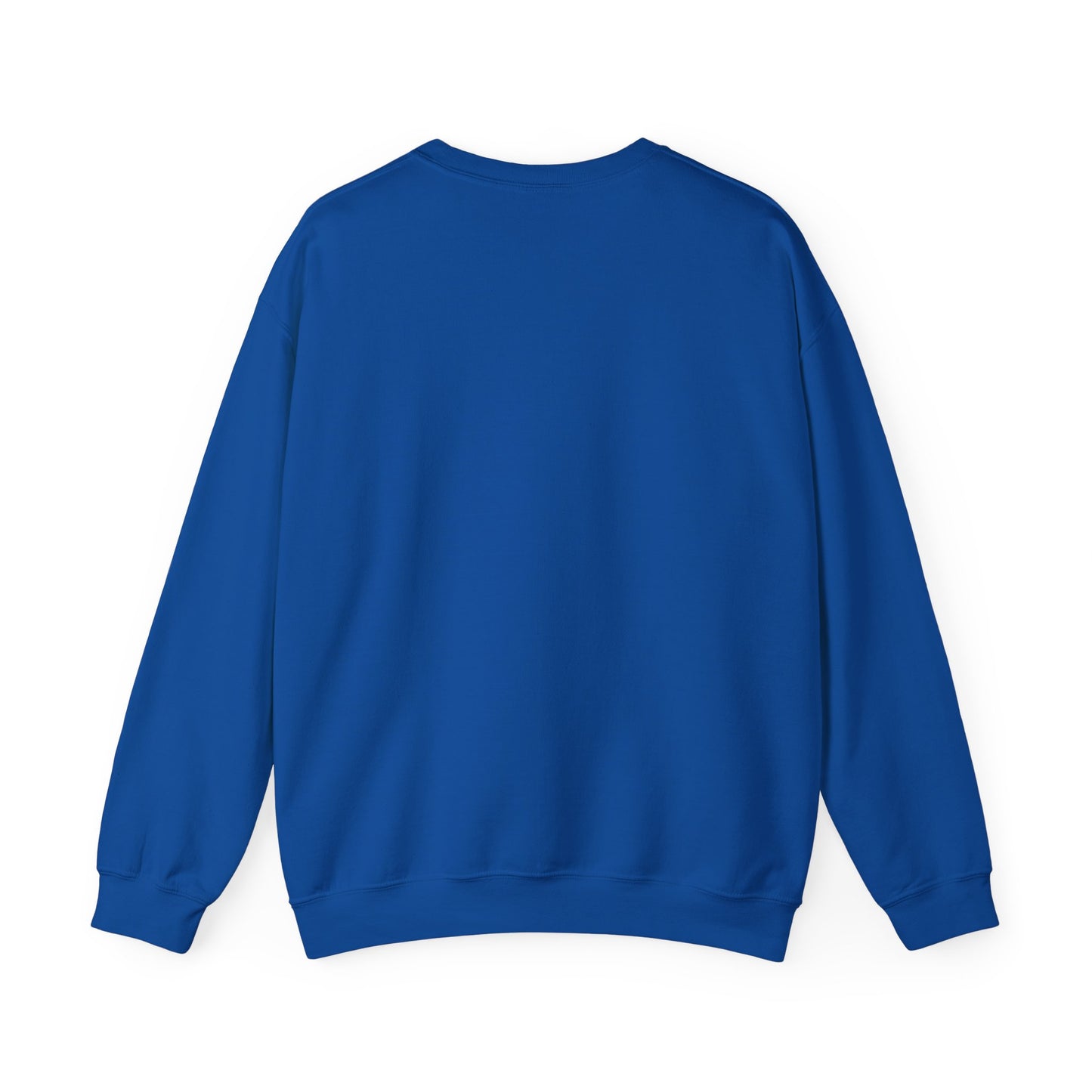 Teleo Sweatshirt.