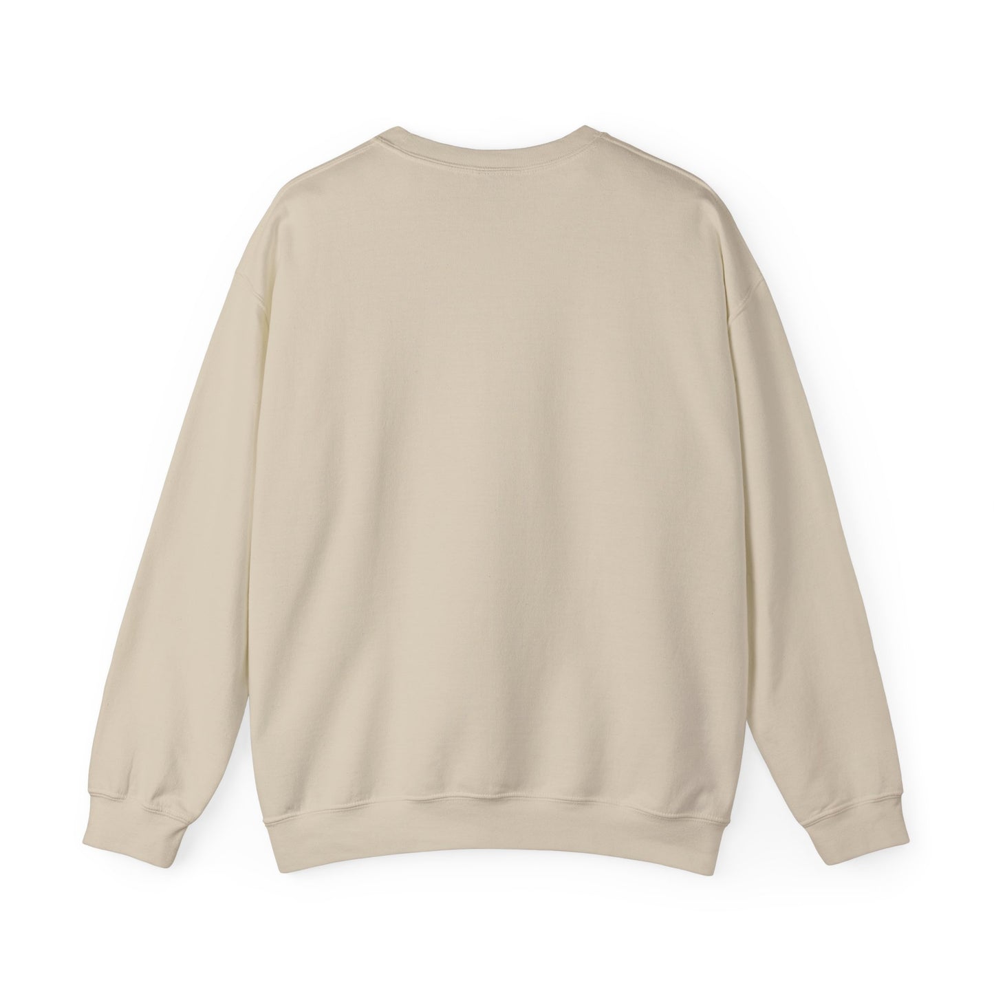 Teleo Sweatshirt.