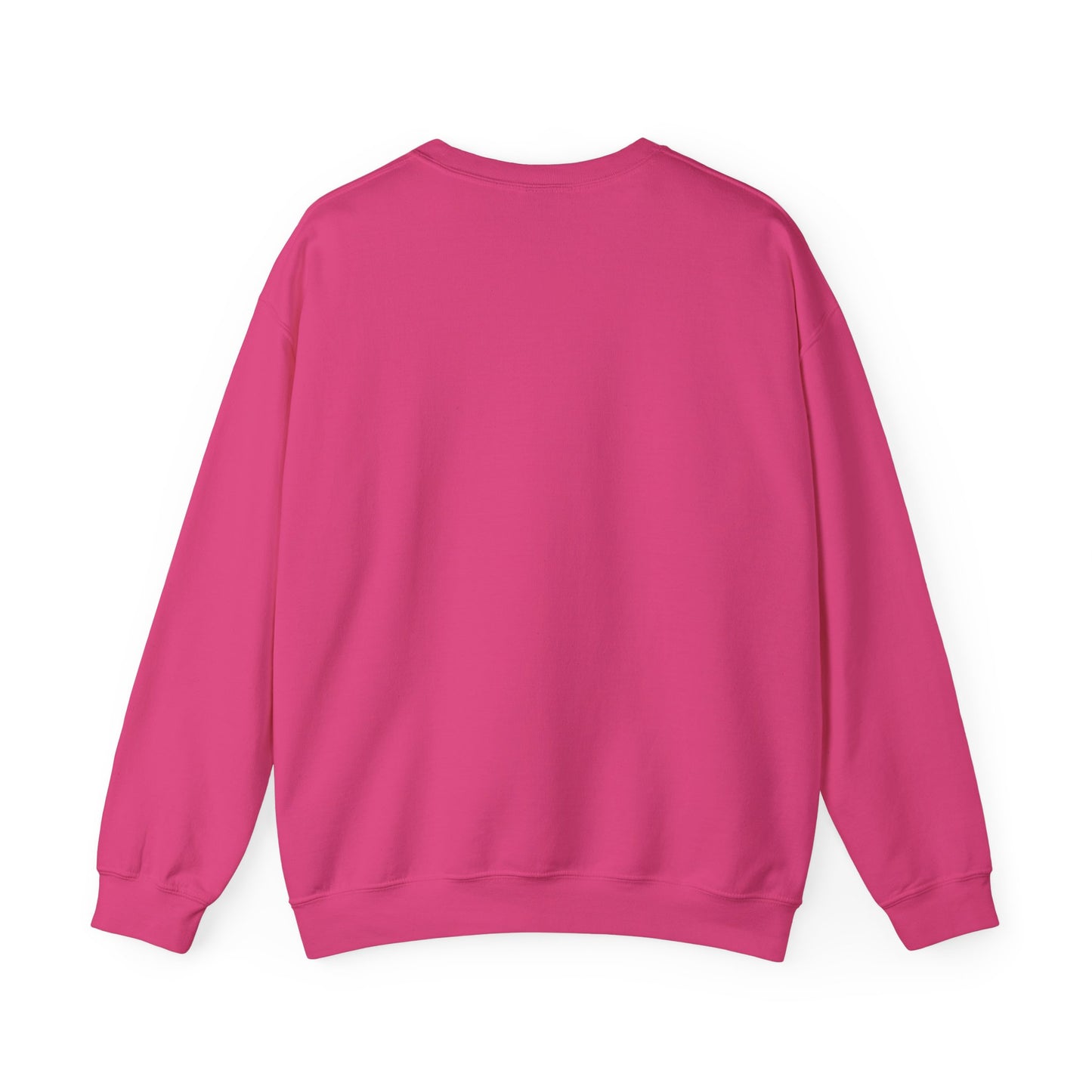 Teleo Sweatshirt.